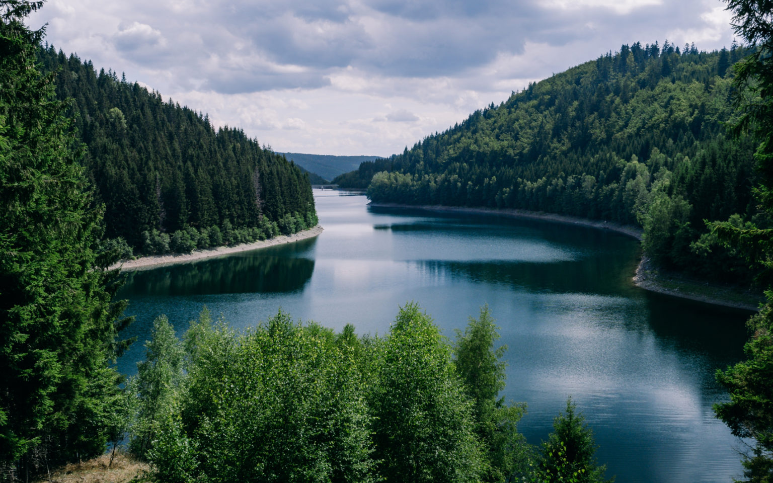 River surrounded by forest